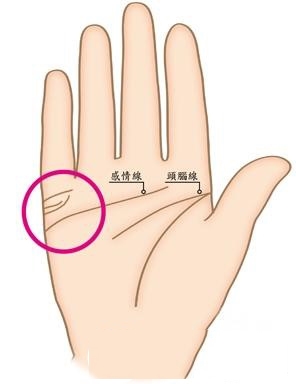 旺夫相女人手相特征 女性旺夫手是怎么样的 旺夫相女人手相特征 女性旺夫手是怎么样的